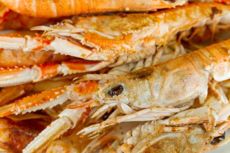 plate of crayfishの写真素材