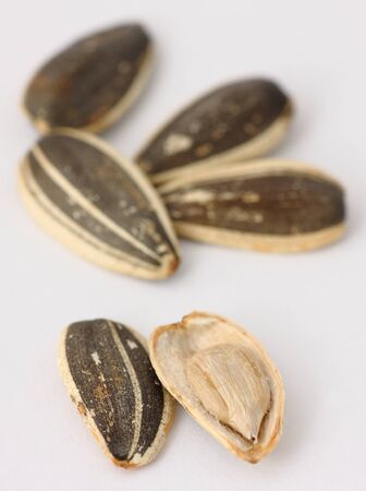 sunflower seedsの写真素材