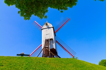 Windmill and green lawn at Bruggeの写真素材