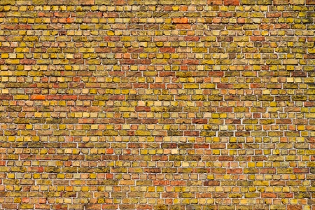 old brick wallの写真素材
