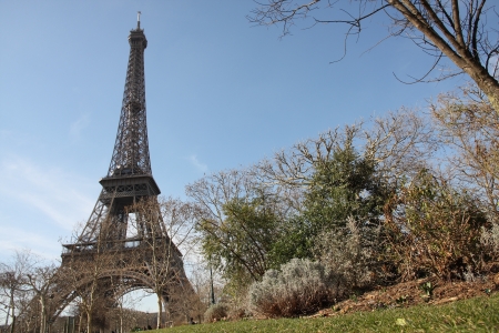 The Eiffel Tower in Paris, Franceの写真素材