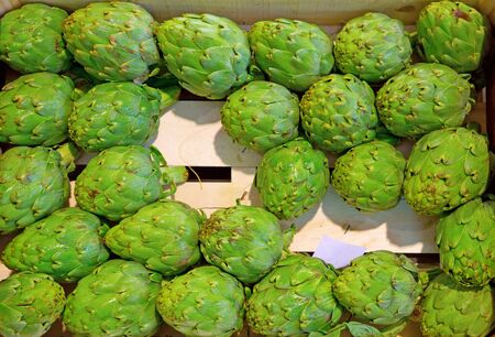 artichokesの写真素材