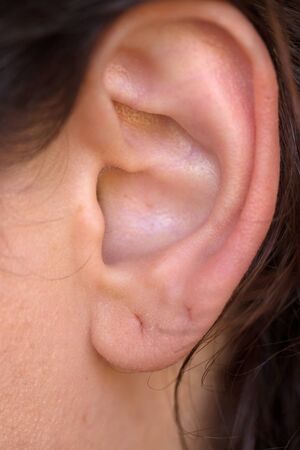 Entire earの写真素材