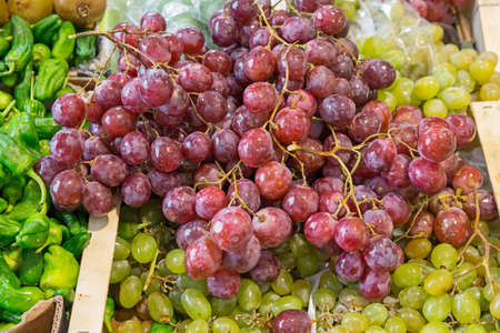 Grapesの写真素材