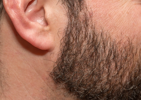 Stubble with gray hairsの写真素材