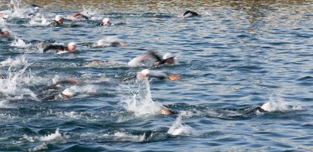 Swimmers in Triathlon, blurred motion of the leadersの写真素材