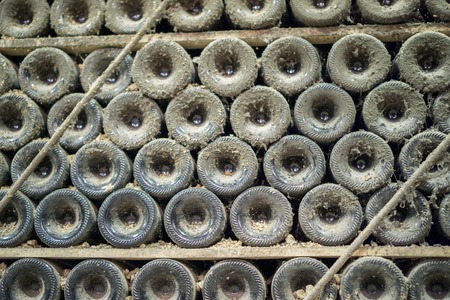 Bottom of old dust covered bottles in wine cellar, shallow depth of field, front viewの写真素材