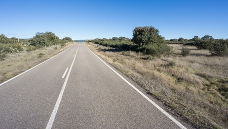 Front view of Straight road with blue skyの写真素材
