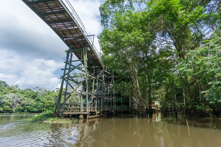 Amazon forest and wooden bridge built for anaconda filmの写真素材