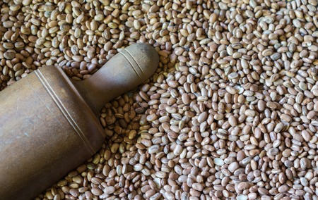 Rolling pin and beans, top view