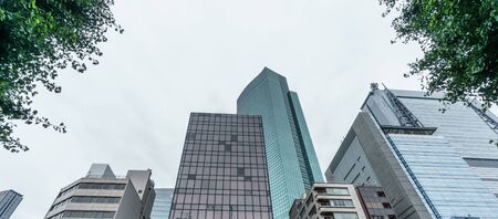Panoramic view of office buildings and treesの写真素材