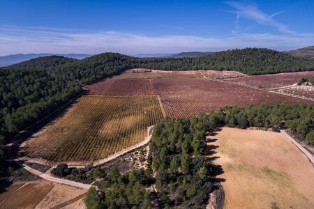 Aerial view of mountains and vineyard with bobal grape, selective focusの写真素材
