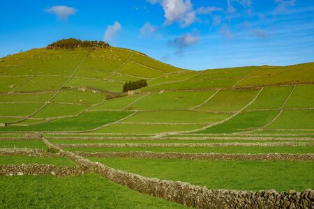 Farm fields hill in the Terceira island in Azores
