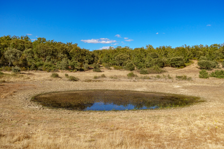 Watar hole in the wildernessの写真素材