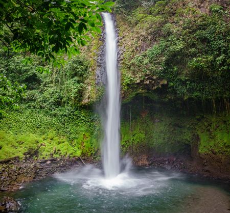 The La Fortuna Waterfall in Costa Ricaの写真素材