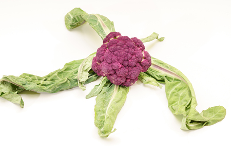 Purple Broccoli Vegan over whiteの写真素材