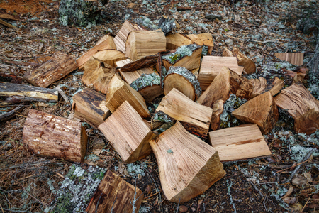 Wooden pieces after ax cutの写真素材