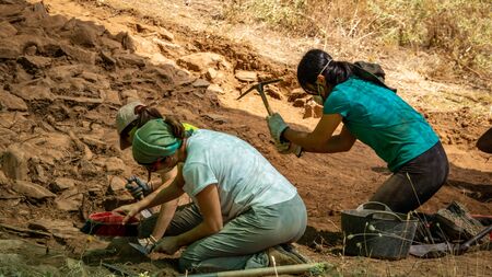Archaeologist women working in antique fort, Zamoraのeditorial素材