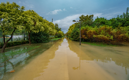 Flooded old Turia river bank after heavy rainの写真素材