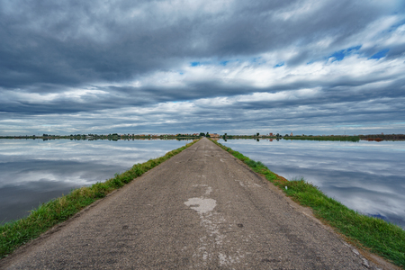 Road in the middle of flooded rice fieldsの写真素材
