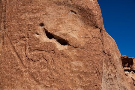 Petroglyphs at Yerbas buenas in Atacama desertの写真素材