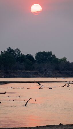 Sunset over african river with debris, vertical compositionの写真素材