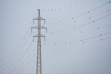 Power tower with signals for bird protectionの写真素材
