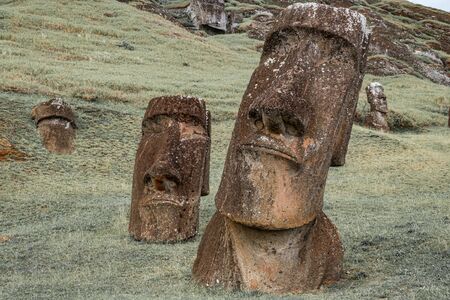 Twisted Moai statues in the Rano Raraku Volcano in Rapa Nuiの写真素材