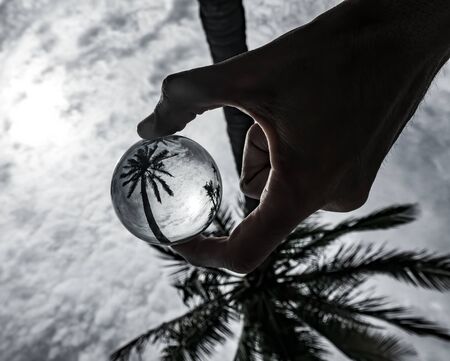 Hand holding crystal ball with palm treeの写真素材