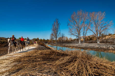 Ribarroja fire near the Turia riverのeditorial素材