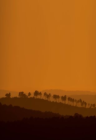 Different layers of hills at sunset with orange skyの写真素材