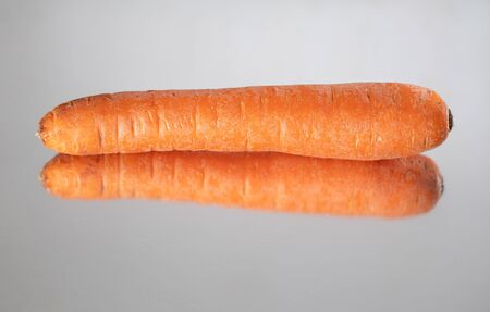 Profile view of isolated single carrot reflectedの写真素材
