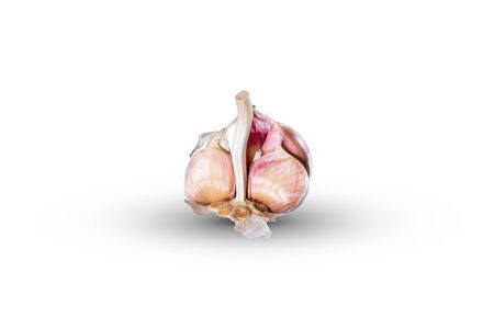 Head with many cloves of garlic on white backgroundの写真素材