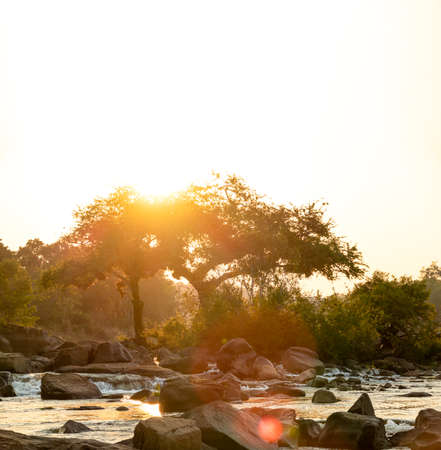Sun over the river full of boulders and trees with bright skyの写真素材