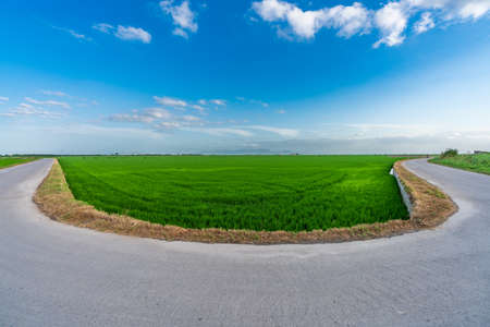 U-shaped road near rice fields in Valenciaの写真素材