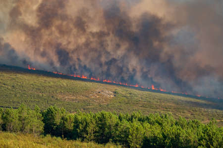 Fire in the hillside with dark smoke, long shot