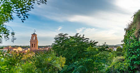 Almansa cathedral over the trees and cloudy skyの写真素材