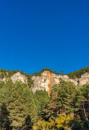 Vertical rock cliffs over the pine tree forest under blue skyの写真素材