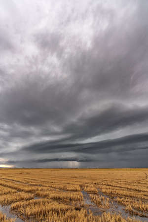 Dark storm over the flooded rice fields and antenna in Valencia
