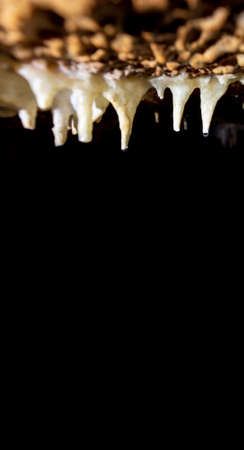 Stalactites with water drops against black backgroundの写真素材