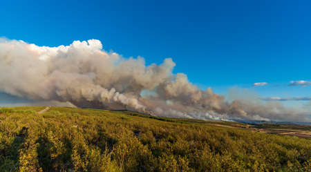 Large fire over the hillside with huge smoke columnsの写真素材