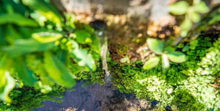Top view of fountain stream with fresh waterの写真素材