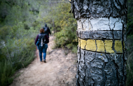 Hiking path mark over tree trunk with hikersの写真素材