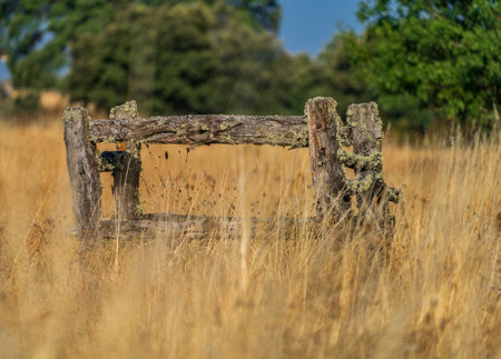 Wooden structure for shoeing horses and healing cowsの写真素材