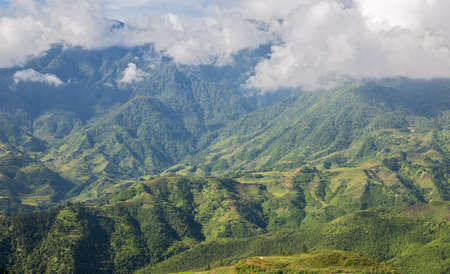 Rice mountainの写真素材