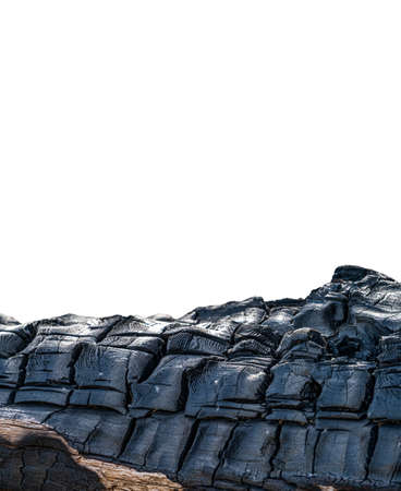 Burnt tree trunk detailed view against white backgroundの写真素材