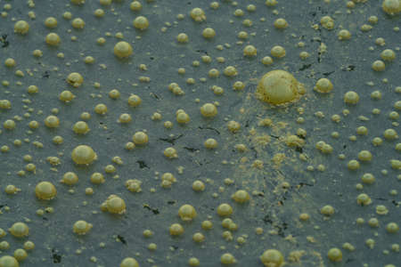 Very dirty water with bubbles closeup view