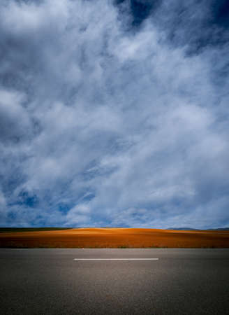 Isolated road and crops under cloudy skyの写真素材