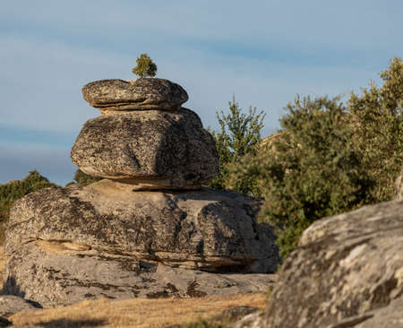 Huge boulder with tree on top, long shotの写真素材