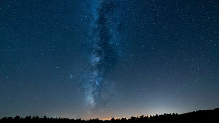 Milky way skyline over the tree topsの写真素材
